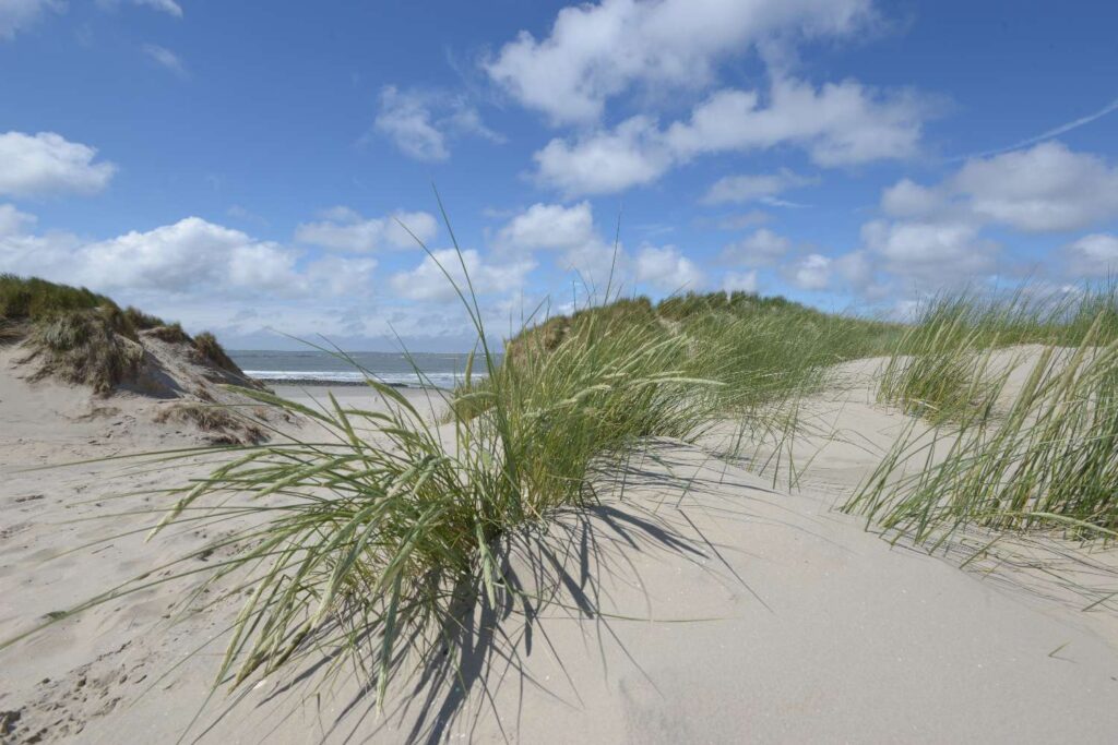 Nederlandse natuurfoto's voor akoestische fotowanden